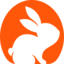 CodeRabbit Logo